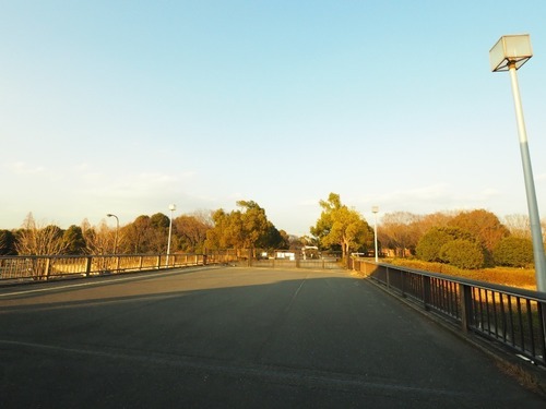 昭和記念公園（立川口ゲート）