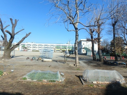 中神小学校